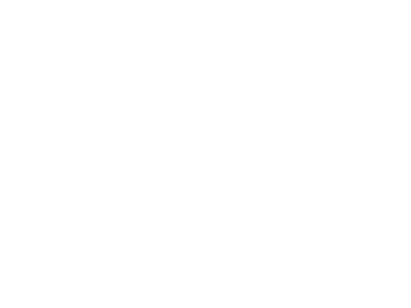 the body shop